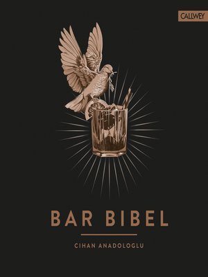 cover image of Bar Bibel